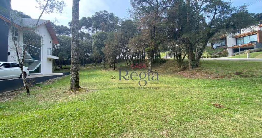 Terreno à venda, 739 m² por R$ 2.000.000,00 - Centro - Canela/RS