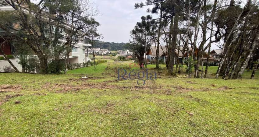 Terreno à venda, 795 m² por R$ 2.000.000,00 - Centro - Canela/RS