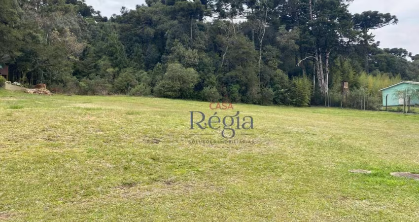 Terreno à venda, 1975 m² por R$ 3.000.000,00 - Centro - Canela/RS