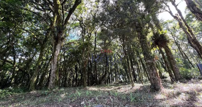 Terreno a venda no Residencial Pinheiro Grosso em Canela/RS!