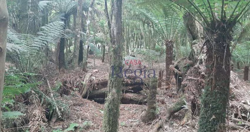 Terreno à venda no Loteamento Alpes – São Francisco de Paula/RS