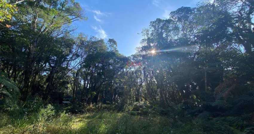 Terreno à venda no Loteamento Colinas – São Francisco de Paula/RS!