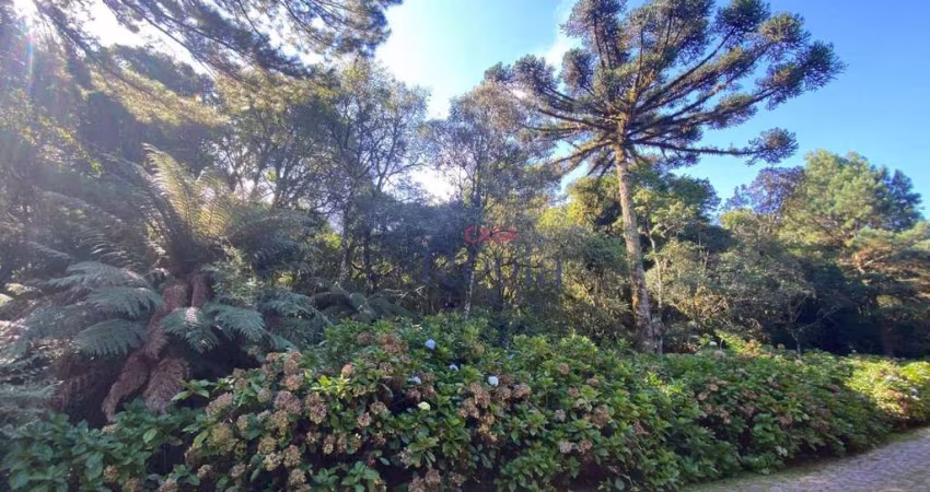 Terreno à venda, em São Francisco de Paula/RS!