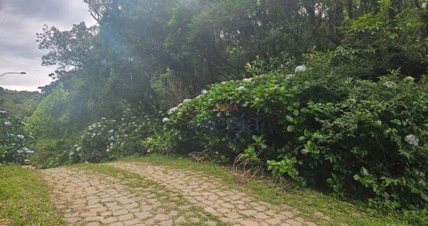 Terreno à venda no Loteamento Alpes de São Francisco de Paula/RS!