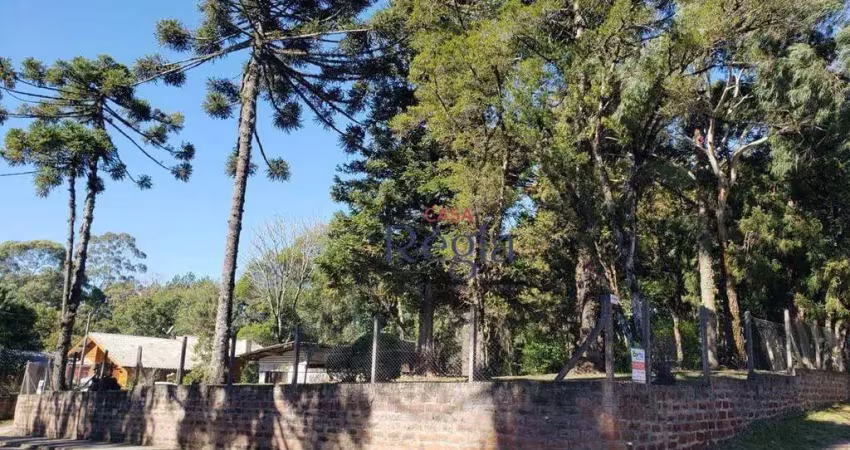 Terreno à venda, 1050m² de alto padrão - palace hotel - canela/rs!