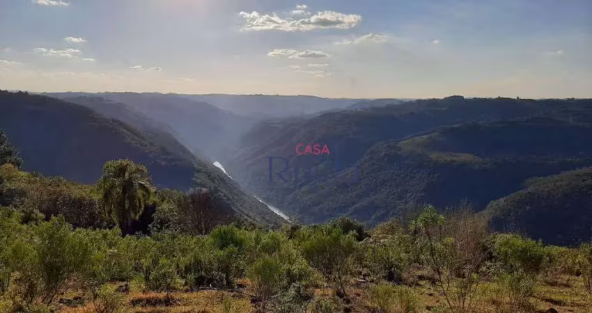 Chácara / sítio com 4 quartos à venda na Linha Gonçalves, Criúva, Caxias do Sul