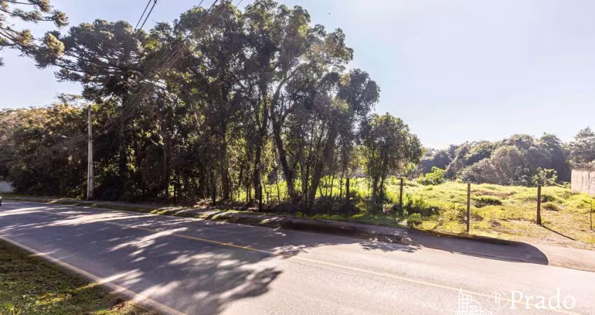 Terreno à venda, 6.972 m² privativos  Del Rey, São José dos Pinhais, PR