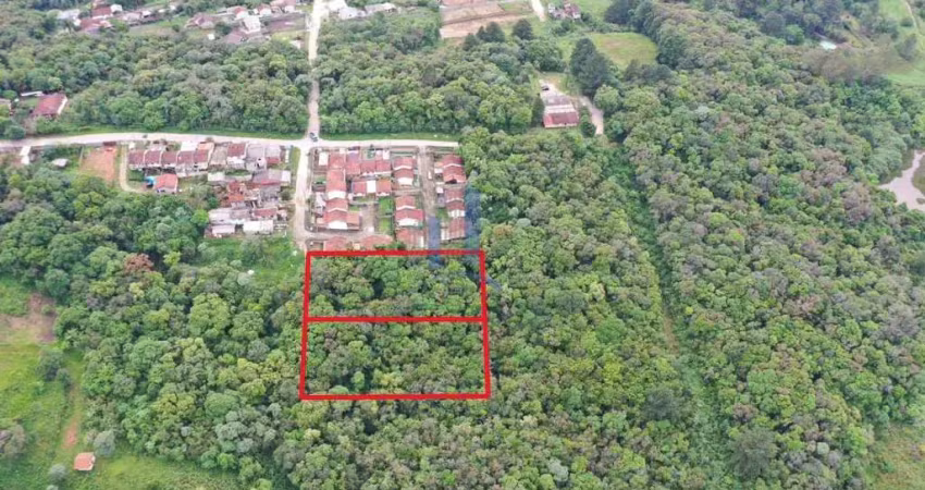 Terreno à venda na Rua do Jequitibá, 146, São Dimas, Colombo