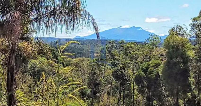 Chácara para venda em campina grande do sul, roseira