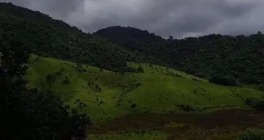 Chácara / sítio com 2 quartos à venda na R., Parque Mirante de Parnaíba, Santana de Parnaíba