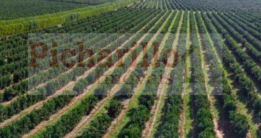 Fazenda para Venda em Marília, Centro, 5 dormitórios, 5 suítes, 5 banheiros
