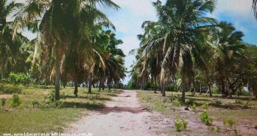 Fazenda para venda em extremoz, capim -extremoz, 3 dormitórios, 1 suíte, 2 banheiros, 6 vagas