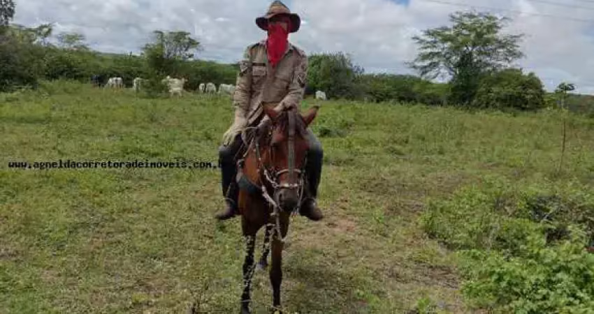 Fazenda à venda na Rua São Pedro, s/n, Potengi, Natal