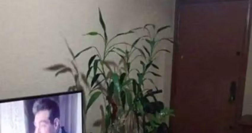 Apartamento 2 dormitórios, 1 vaga - vila belmiro - santos/sp