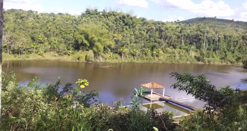 FAZENDA COM 131 HECTARES