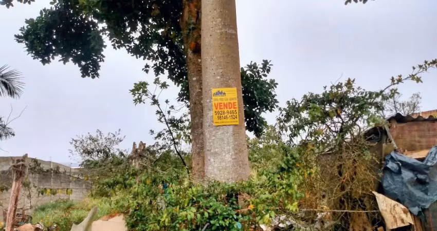 Terreno à venda na Rua Jaime Petit da Silva, Cidade Nova América, São Paulo