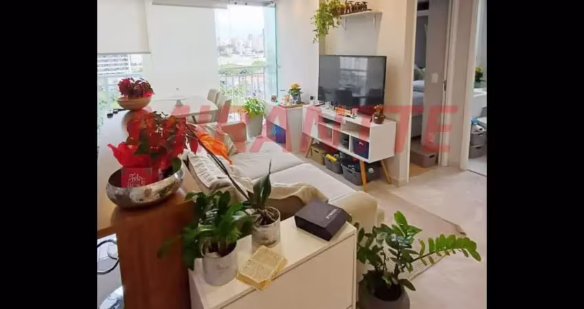 Apartamento com 2 quartos à venda na Rua Josef Kryss, Barra Funda, São Paulo