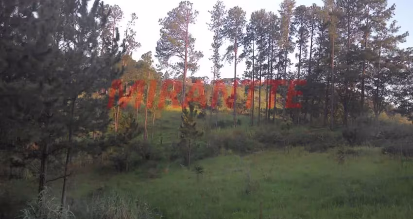 Terreno à venda na Avenida Nossa Senhora do Rosário, Rosário, Atibaia