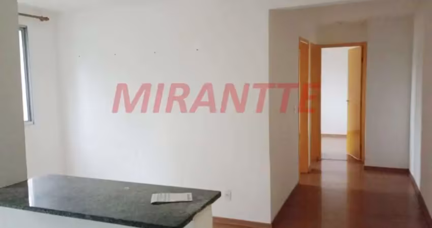 Apartamento com 2 quartos à venda na Rua Agrimônia, Vila Raquel, São Paulo