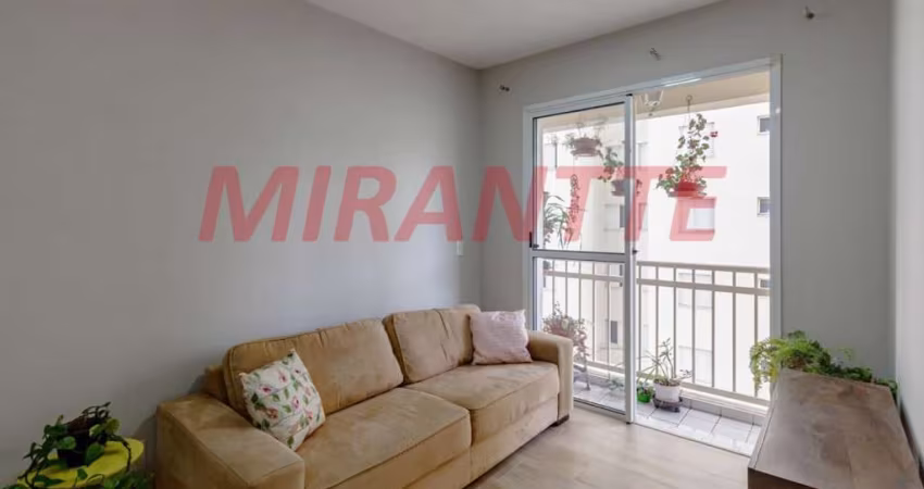 Apartamento de 49m² com 2 quartos em Limão