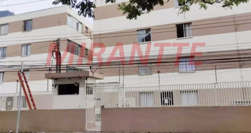 Apartamento de 47m² com 1 quartos em Vila Leonor