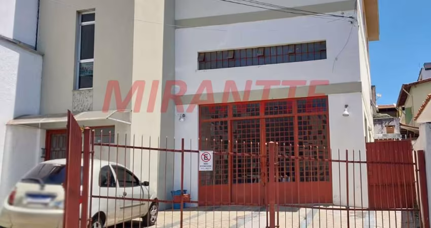Comercial de 295m² em Jardim Primavera