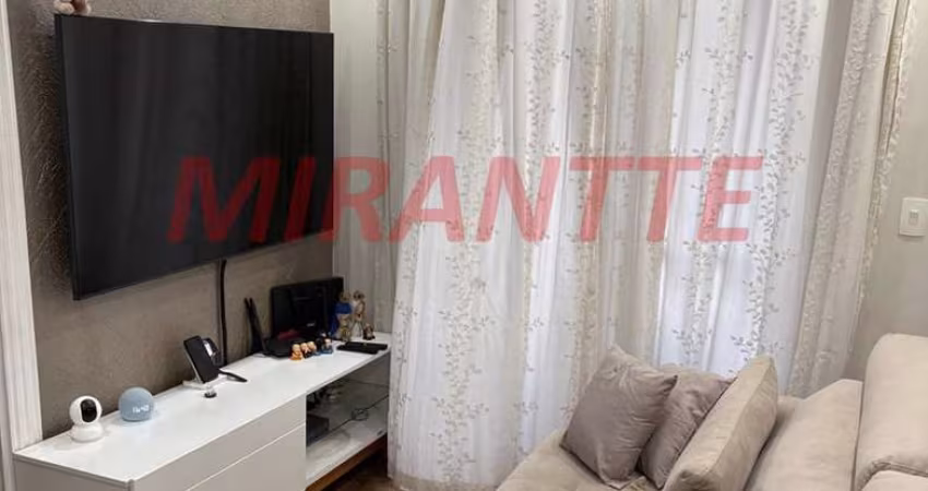 Apartamento de 50m² com 2 quartos em Vila Amelia