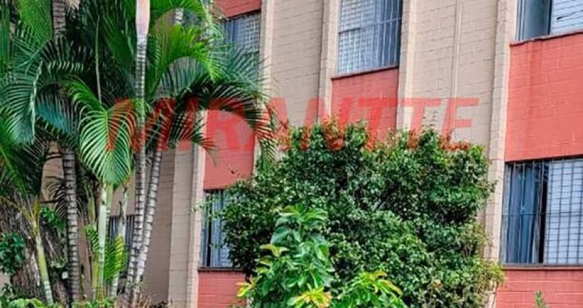Apartamento de 50m² com 2 quartos em Vila Albertina