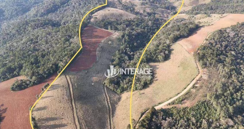 Terreno à venda, 209000 m² por R$ 1.500.000,00 - Ouro Fino de Baixo - Campo Magro/PR