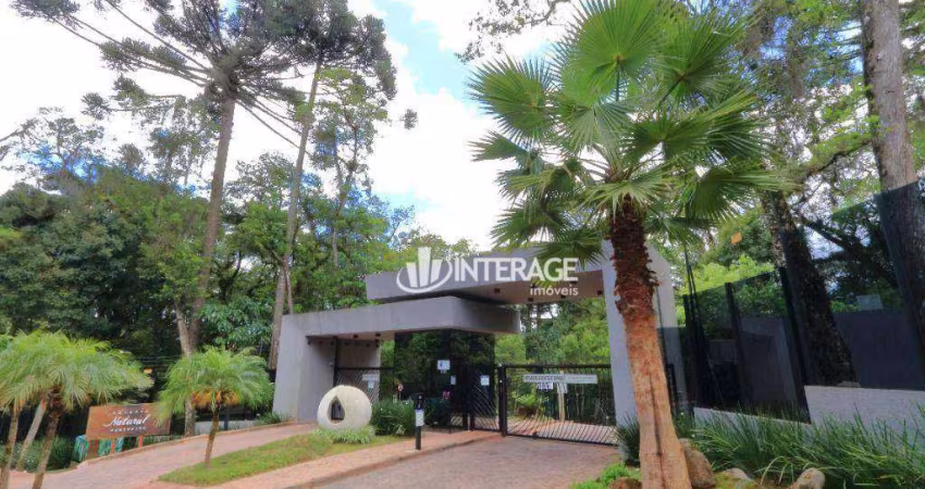 Terreno à venda, 1118 m² por R$ 2.150.000,00 - Santa Felicidade - Curitiba/PR