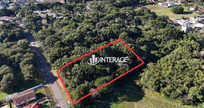 Terreno à venda, 4446 m² por r$ 1.700.000,00 - santa felicidade - curitiba/pr