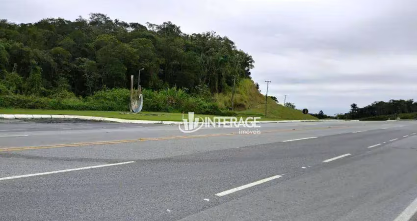 Terreno à venda, 121000 m² por r$ 20.000.000,00 - alexandra - paranaguá/pr