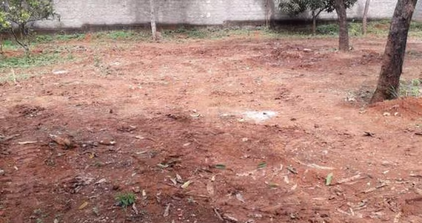 lote 1.000m  caetanopolis