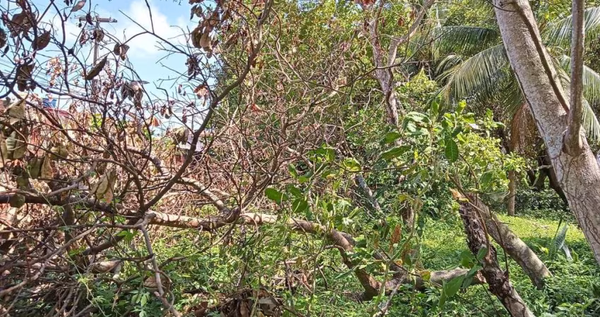 Terreno para Venda em Natal, Ponta Negra