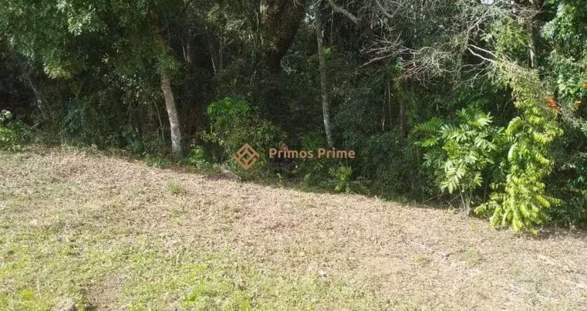 Terreno a 50 mts da br 476 - mariental - lapa - pr - r  160.000,00