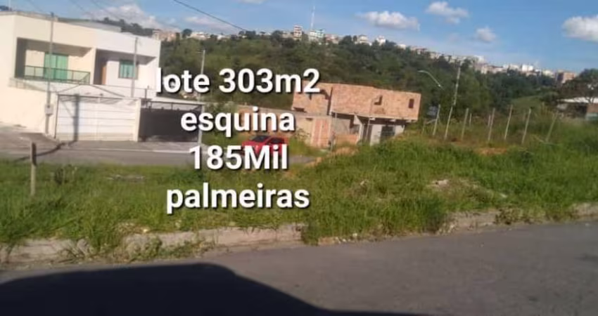 LOTE NO PALMEIRAS
