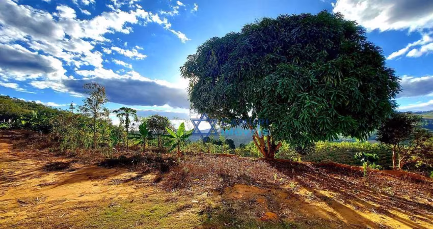 Terreno à venda, 20000 m² por R$ 490.000,00 - Zona Rural - Domingos Martins/ES