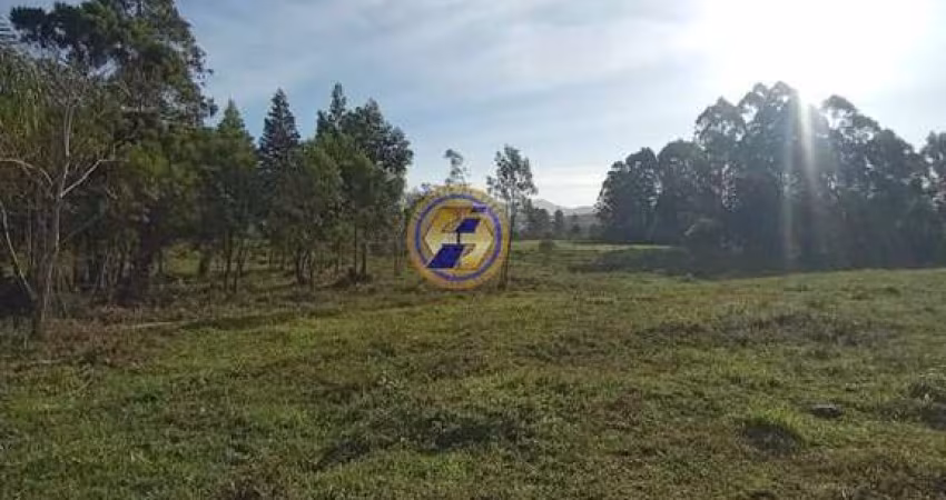 Sítio / Chácara para Venda em Torres, Rio Verde, 2 dormitórios, 1 banheiro, 1 vaga