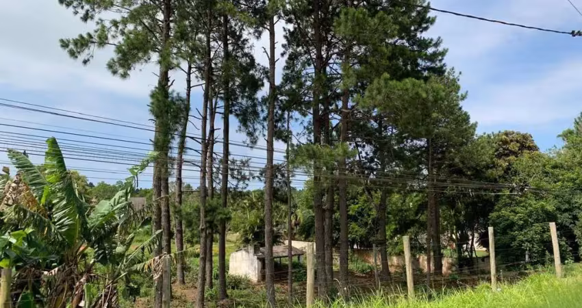 Terreno comercial para venda em torres, engenho velho
