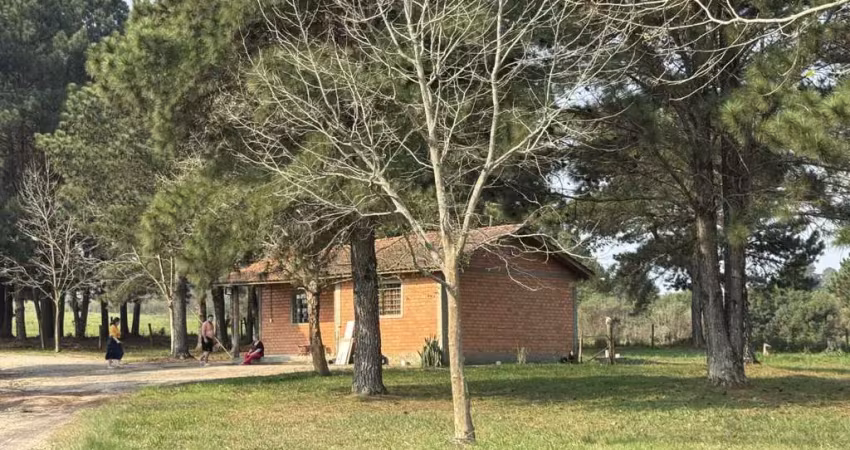 Terreno à venda na BR-376, 539, São Luiz do Purunã, Balsa Nova