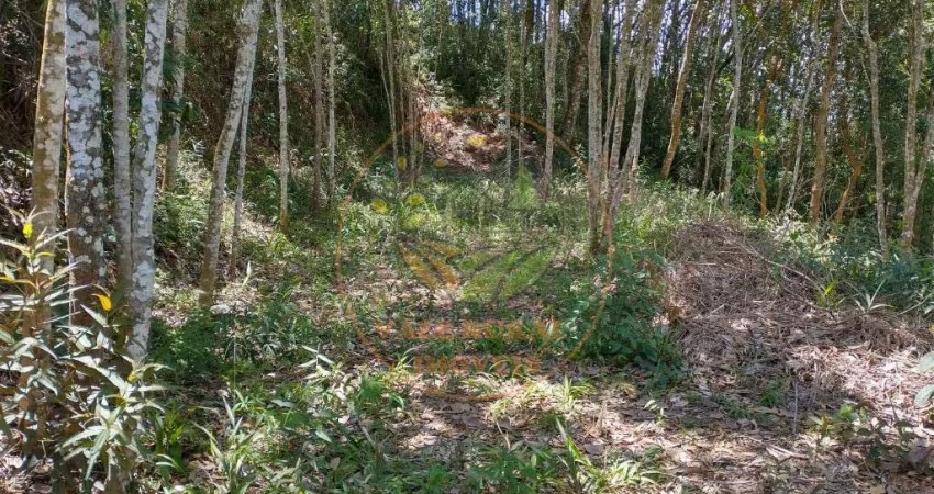 OPORTUNIDADE! ÁREA EXCELENTE COM 27.000M² EM NAZARÉ PAULISTA - SP  AR00078