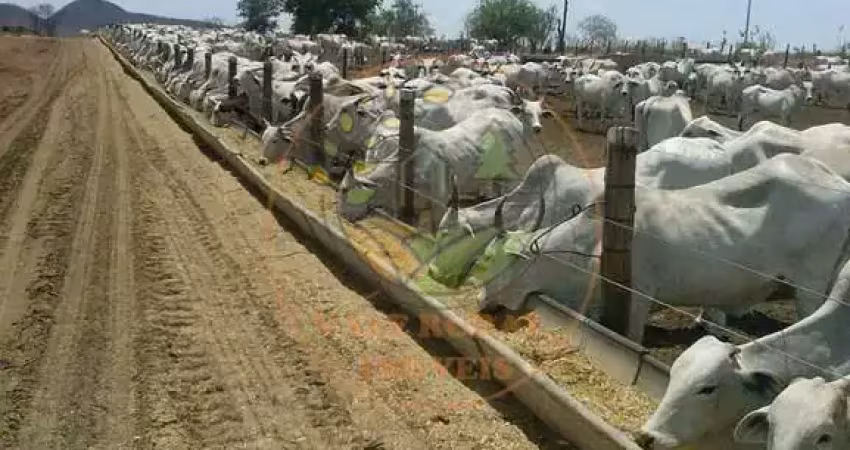 Excelente! fazenda de 8.264 alqueires com frigoríficos no oeste da bahia  fa00156