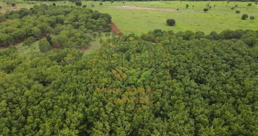 EXCELENTE FAZENDA EM  LAGOA DA CONFUSÃO - TOCANTINS FA00139