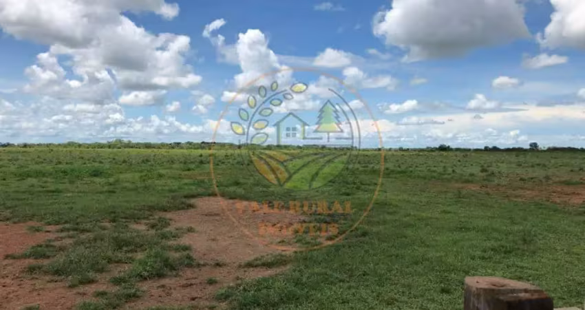 Oportunidade! fazenda no tocantins com 970 alqueires fa00136