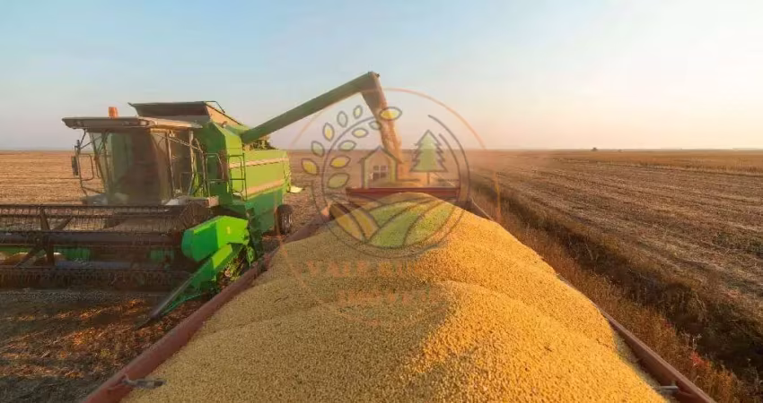 Magnífica fazenda  de 84 alqueires em goiás! fa00129