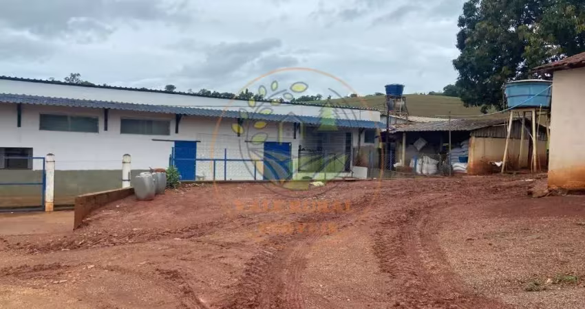 Fazenda de 47 hectares á venda em minas gerais - fa00125