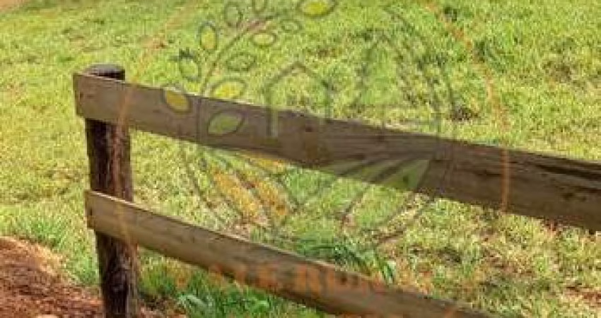 ÓTIMA FAZENDA ESCRITURADA EM PRESIDENTE OLEGÁRIO - FA00124