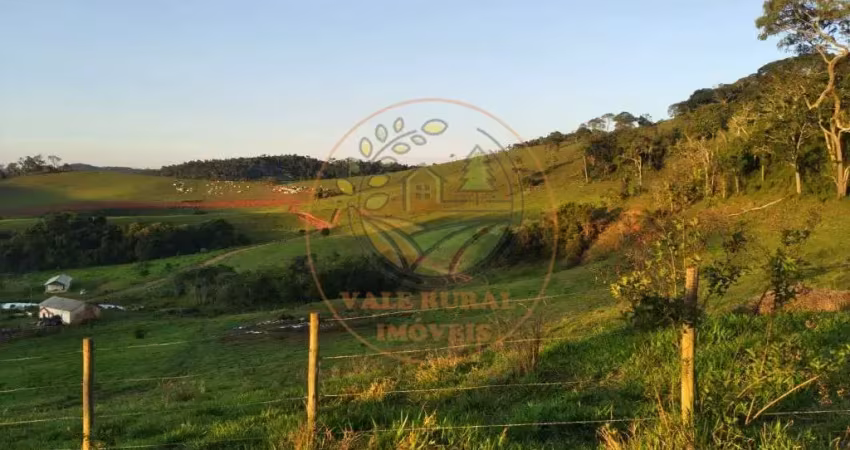 Excelente sítio com nascente e mata nativa em são lourenço mg - st00131