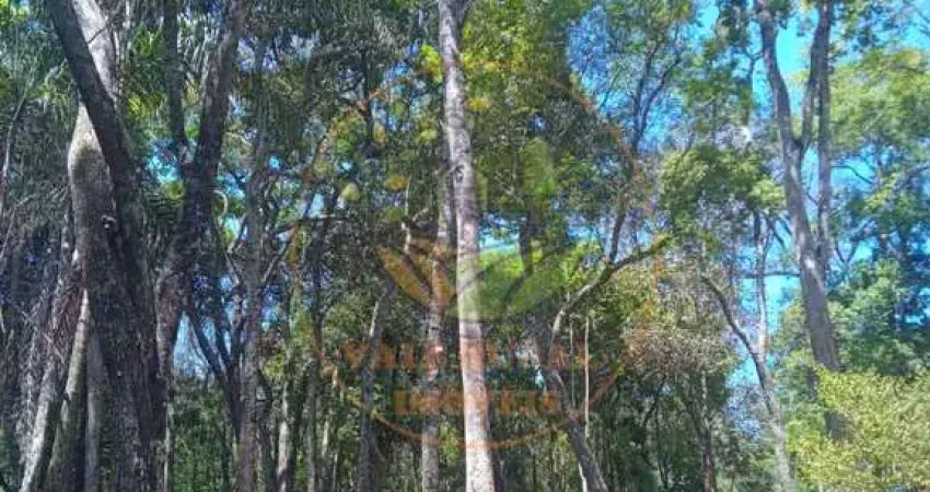Sítio maravilhoso em conceição do rio verde com diversas belezas naturais.