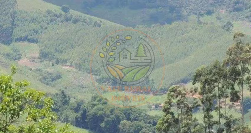 Oportunidade em cunha! área rural com mais de 32.000 pés de eucalipto! ar00062